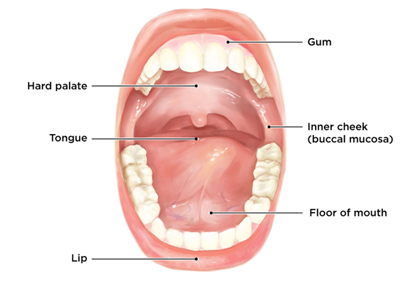 Oral Cancer Hospital